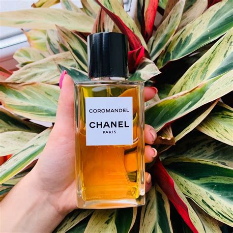 chanel perfume with patchouli components|coromandel eau de chanel.